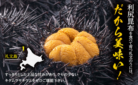 北海道 礼文島産 採れたて ミョウバン不使用 キタムラサキウニ 折詰 200g×1箱［株式会社やまじょう］【 うに ウニ 雲丹 生うに 折うに ムラサキウニ 海鮮 うに丼 濃厚 甘み 贈答 ギフト 】