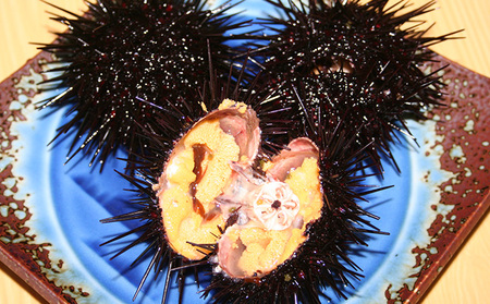 北海道 礼文島産 キタムラサキウニ 蒸しうに 缶詰 100g×3缶［株式会社やまじょう］【 うに ウニ 雲丹 うに缶 ムラサキウニ ご飯のお供 珍味 おつまみ 贈答 ギフト 常温保存 】