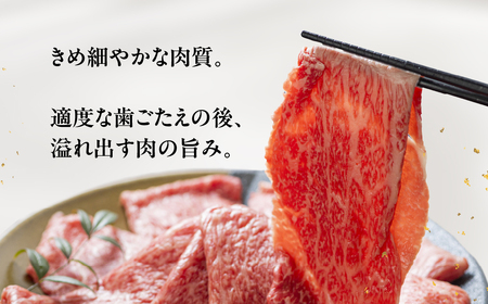【ふるなび限定】 [A5等級] 飛騨牛モモ すき焼き・しゃぶしゃぶ用 600g [0837] すき焼き トキノ屋食品 FN-Limited-PR