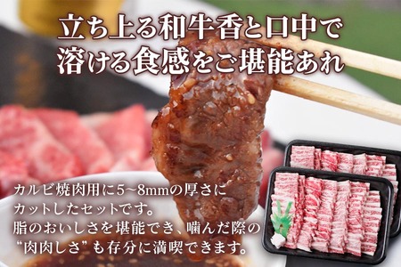 [A5等級] 飛騨牛バラカルビ 焼肉 用2kg [0851] 焼肉 トキノ屋食品