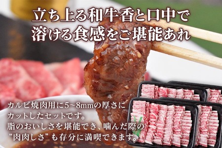 [A5等級] 飛騨牛バラカルビ 焼肉 用4kg [0856] 焼肉 トキノ屋食品