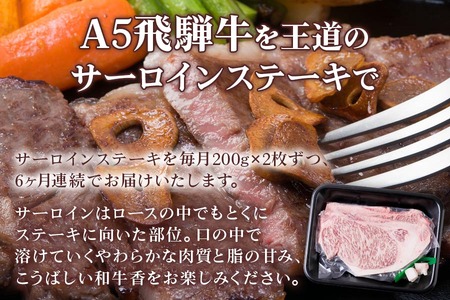 [6ヶ月定期便][A5等級] 飛騨牛サーロイン ステーキ 400g(200g×2枚) [0865] ステーキ トキノ屋食品