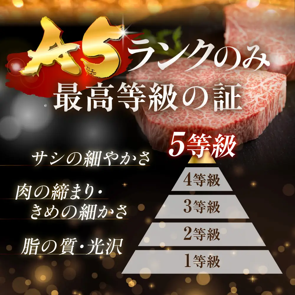 飛騨牛 A5 厚切りサーロイン 2枚 560g｜サーロイン