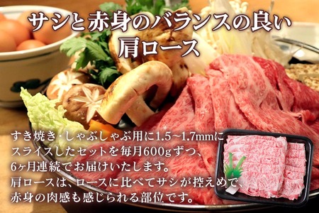 [6ヶ月定期便][A5等級] 飛騨牛肩ロース すき焼き ・しゃぶしゃぶ用600g [0869] すき焼き トキノ屋食品