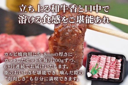 [6ヶ月定期便][A5等級] 飛騨牛 バラカルビ700g [0870] 飛騨牛 トキノ屋食品