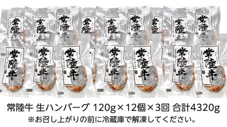 【茨城県共通返礼品】【3ヶ月定期便】 黒毛和牛 常陸牛 100% 特製 プレミアム 生ハンバーグ 120g×12個入り 合計1,440g 八千代町産 白菜 使用 無添加 無着色 保存料不使用 冷凍 牛 牛肉 ビーフ 生 ハンバーグ こだわり [AU055ya]