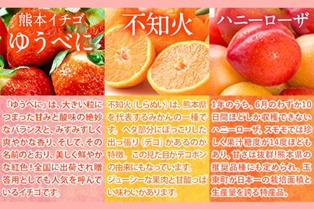 ぎょくとうセレクト アイスアソートセット 12個(全5種)《60日以内に出荷予定(土日祝除く)》 熊本県玉名郡玉東町 すもも ハニーローザ いちご イチゴ いちご しらぬい 不知火 チョコ チョコレート ヨーグルト アイス シャーベット ぷらっとぎょくとう 