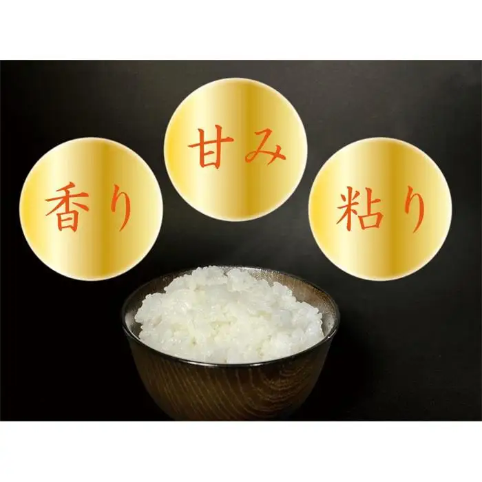 【令和7年産】【定期便 南魚沼産】コシヒカリ 白米5kg×12回【定期便 銘柄米 ブランド米 精米 こしひかり コシヒカリ 魚沼産 新潟米 産地直送 お米 米 こめ コメ ご飯 御飯 ごはん】