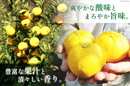 【期間限定発送】 おひさまへべす ひなたGAP認定 ふぞろい 2kg [へべすの悠美園 宮崎県 日向市 452060723]