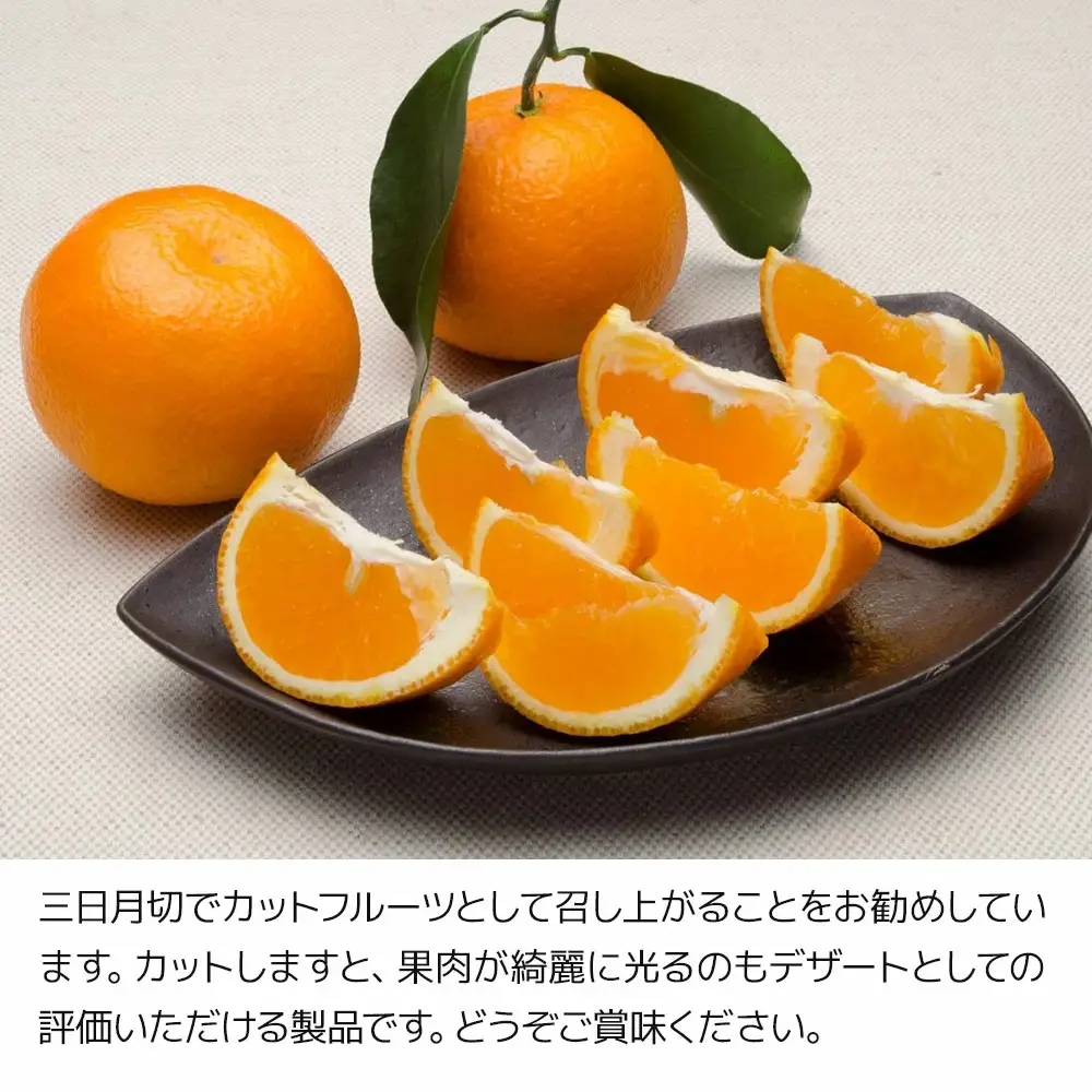 まるでゼリーのようなプルプル食感!サンセレブ約3kg(化粧箱) みかん ミカン | 津久見市