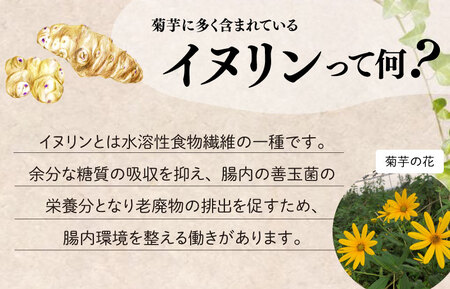 【2026年1月以降発送】菊芋 パウダー 1kg（ 200g×5袋 ）きくいも SDGs エコ サスティナブル 粉末 パウダー イヌリン 国産 糖質 有機 血糖値 血圧 いも イモ 芋 菊芋茶 菊芋チップス 健康 話題 農薬不使用 食物繊維 野菜 ドレッシング 三重県産