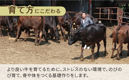 【6回定期便】長崎県産 和牛 肩ロース スライス 500g / 南島原市 / 高田牧場 [SDB009]