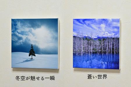 写真家　阿部俊一　キャンバスプリント(273mm × 273mm)[036-28]