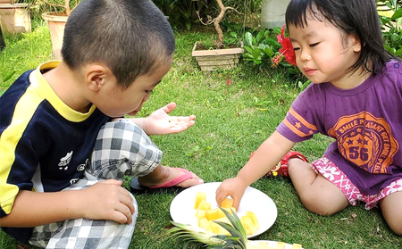  パイナップル【2026年発送】比屋定農園「久米定パイン」ゴールドバレル 1玉（2kg以上×1玉） パインフルーツ 果物