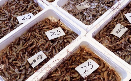 ＜先行予約＞海老シュウマイ20個 (10個×2パック)