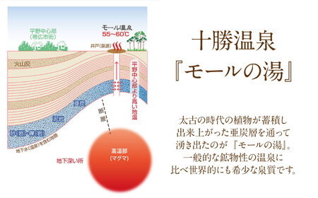 十勝川温泉モール温泉感謝券30,000円分【T-100000】