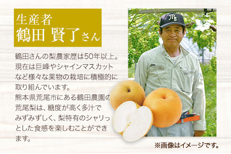 梨ドレッシングと焼肉のタレ3本 鶴田農園《60日以内に出荷予定(土日祝除く)》熊本県 荒尾市産 ドレッシング 焼肉のたれ タレ 梨 果物 フルーツ 美味しい梨 旬の梨 ジューシー梨 フルーツ梨