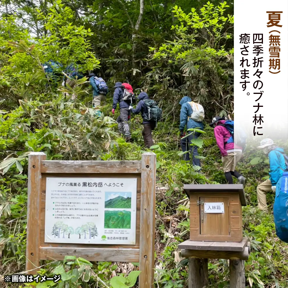 黒松内町観光協会「北限のブナ林ガイドウォーク」(1時間半)２名様 体験チケット