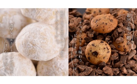 クッキー缶 銀河 クッキー ネコとリス缶 無添加 バタークッキー チョコクッキー