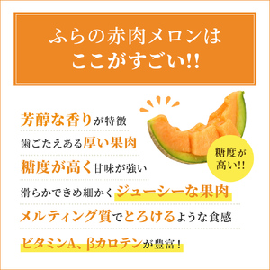 【令和8年産】ふらの 赤肉メロン 秀品 Lサイズ 1.6kg～1.9kg 2玉 セット ファーム富良野 メロン めろん 果物 くだもの フルーツ デザート 北海道 北海道上富良野町 