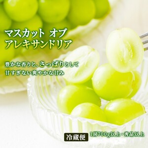 フルーツ 定期便 2026年 先行予約 フルーツ王国 岡山の果物 5回コース 夏～冬物語  桃 もも 葡萄 ぶどう 梨