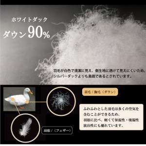 【日本製】オールシーズン2枚合わせ羽毛布団 ホワイトダックダウン 90％ クイーンロングサイズ（157-2）