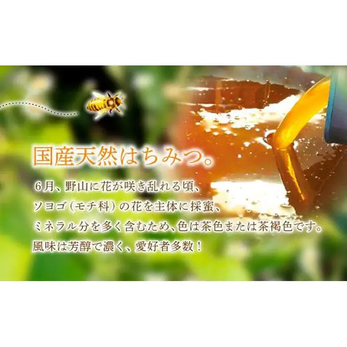養蜂研究所が提供する「(井上養蜂) 国産 山のはちみつ」芳醇で濃厚な蜂蜜