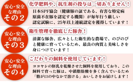 芳寿豚 豚モモスライス 500g 南島原市 / 芳寿牧場 [SEI026]