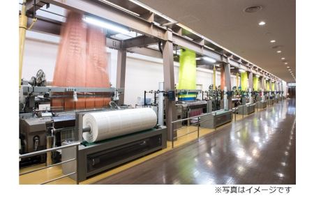 タオル美術館タオルアート、多肉体験、ランチチケット　ペア [TC09050]