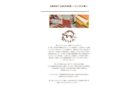 大三島イノシシ革やわらかカードケース（オレンジ色） [VB01110]