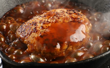 伊万里牛ファミリーコース 定期便 3回便 （すき焼き しゃぶしゃぶ ハンバーグ 焼肉） 999-J602