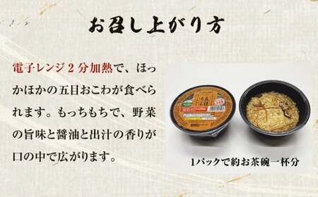 五目おこわ 炊飯パック 160g 24パック入 ご飯 ご飯パック 炊飯パック おこわ 五目ごはん 備蓄 非常食