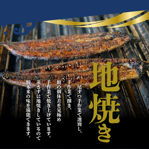 うなぎの蒲焼 2尾セット（特大サイズ 一尾 170g～200g）_うなぎ 蒲焼 2尾 セット 特大サイズ 一尾170g～200g たれ付き 鰻専門問屋 樋口商店 鹿児島 宮崎 国産 ジャポニカ種 真空パック ギフト お取り寄せ グルメ うな丼 うな重 ひつまぶし お土産 手土産 贈り物 プレゼント お中元 職人 送料無料 〔Cu001〕