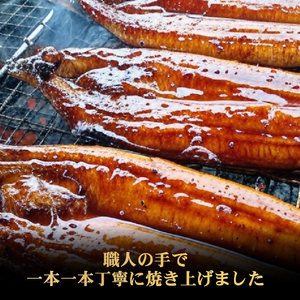 うなぎ蒲焼き 2尾 定期便 3回 うなぎ BE014