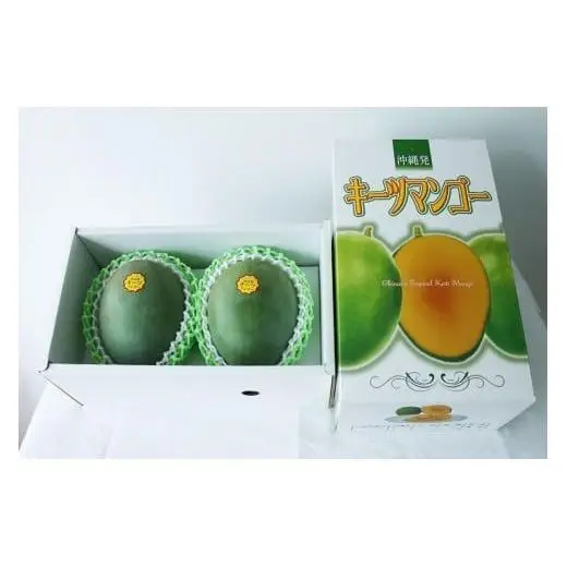 《先行予約》沖縄県宮古島産 減農薬栽培 キーツマンゴー甘濃（かんのう）2玉【琉球マルシェ】
