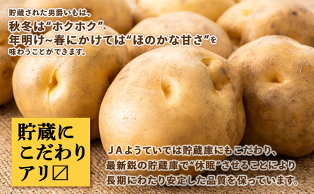【2026年秋発送 先行予約】じゃがいも 馬鈴薯（男爵）Ｌサイズ　20kｇ＜JAようてい＞
