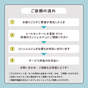 H-189　まごころサポート60分チケット