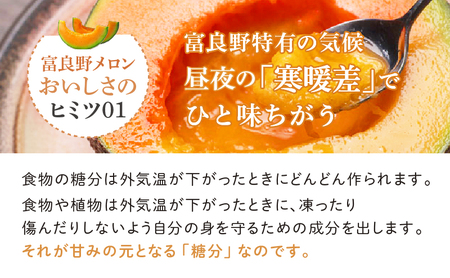 【2026年夏発送】※訳あり 富良野 メロン 約8kg 〈3玉～8玉入り〉メロン フルーツ 果物