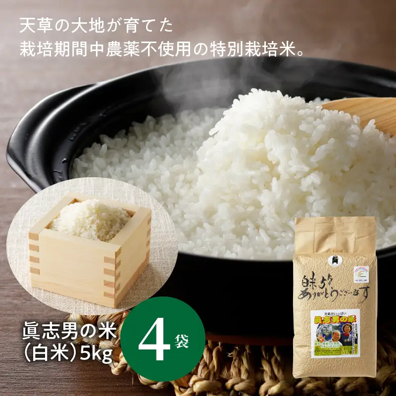 S067-021A_【令和7年産】健幸米40kgセット(コシヒカリ・玄米めんなど)