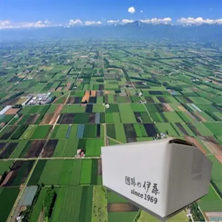 【鶏の伊藤】黄金鶏油(チーユ) 3本 セット 北海道 十勝 帯広_調味料   _【配送不可地域：離島】【1364974】