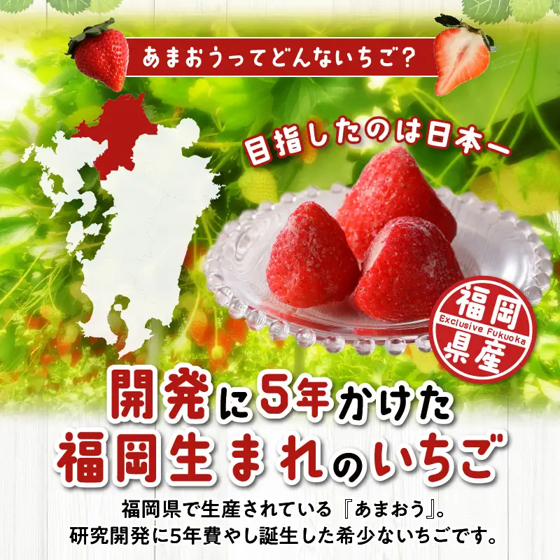 福岡県産 冷凍あまおう 2000g（500g×4パック）_いちご 冷凍 あまおう 合計約2000g 約500g × 4パック ヨーグルト アイス ジャム スムージー 果汁 福岡県産 果物 フルーツ スイーツ 久留米市 お取り寄せ 送料無料 〔Fi210〕