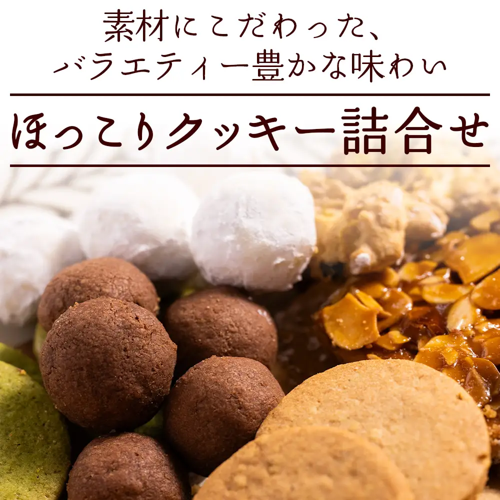 クッキー 詰め合わせ 合計45枚以上（全10種類 各1袋入り）お菓子