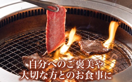【全3回定期便】長崎和牛 カルビ 毎月400g（200g×2袋）自家製ダレ付 長与町/炭火焼肉あおい】 [EBW019]  国産カルビ 和牛カルビ かるび 焼肉用 焼肉 やきにく 牛肉 牛 肉 国産 冷凍 自家製
