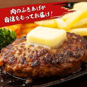 とちぎまるごとハンバーグ150g × 6食　自家製ソース6袋付き ｜肉 お肉 和牛 ハンバーグ
