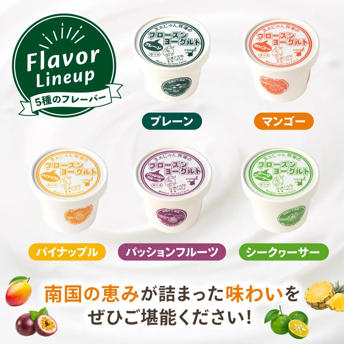 まぁじゅん牧場のフローズンヨーグルトセット 5種詰め合わせ 10個入り (プレーン マンゴー パッションフルーツ パイナップル シークヮーサー)