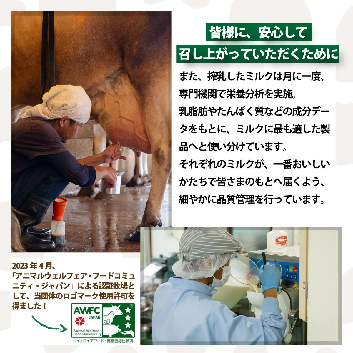 F-2 まぁじゅん牧場の チーズ＆ヨーグルトセット
