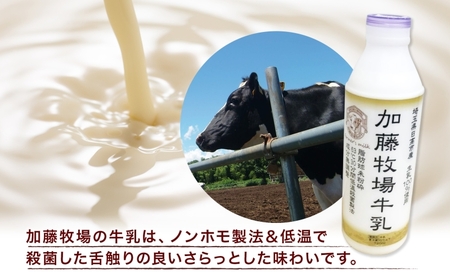 【加藤牧場】 アイス作り体験1名様分＆お土産引換券 アイス 氷 夏 暑い 猛暑 フレーバー 濃厚 さっぱり 人気 ご当地 スイーツ お菓子 食後 デザート 氷菓 牛乳 さっぱり コク 体験 お取り寄せ 加藤牧場 埼玉県 日高市