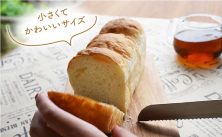食パン2本 食パン CEP037 