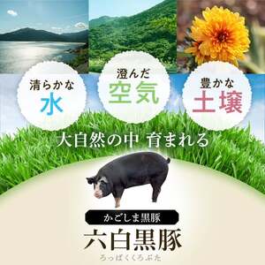 【E02008】＜定期便・全10回＞かごしま黒豚ふるさと定期便 ファミリーセットD(月1回×10ヶ月) 鹿児島 国産 肉 豚肉 黒豚 焼豚 肩ロース ロース モモ 餃子 ぎょうざ しゃぶしゃぶ とんかつ セット 定期便 【和田養豚】