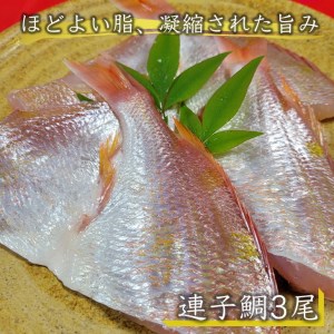 若狭湾 天然 鯖の西京漬け 鯛の一夜干し セット＜京風料理 新橋謹製＞